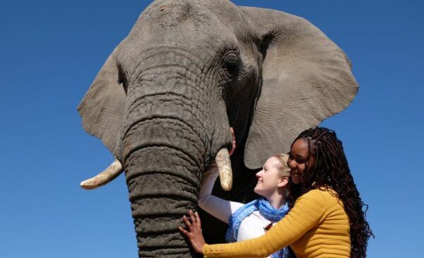 Adventures with Elephants | A Kids Elephant Nature Walk in Bela Bela for 1